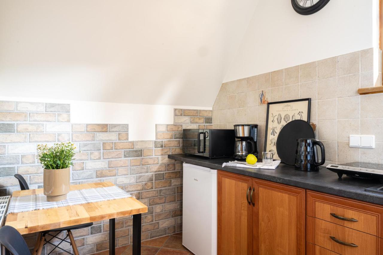 Apartament Tatry #Dobrylot 扎科帕内 外观 照片