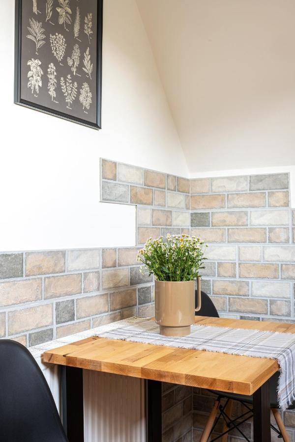 Apartament Tatry #Dobrylot 扎科帕内 外观 照片